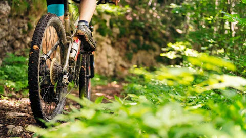 Maui Mountain Biking: Ride Maui’s Trails with Krank Cycles