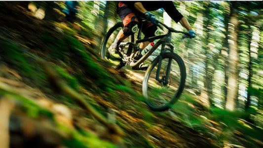 How Much is a Bike Rental on Maui?