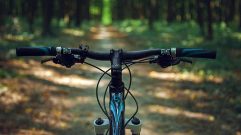 Lahaina Bike Rentals: Exploring Maui