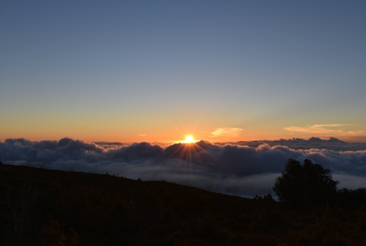 The 4 Best Mountain Biking Trails Maui