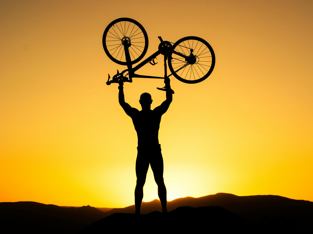 Best Maui Bike Rentals in Lahaina: Why Visit Krank Cycles